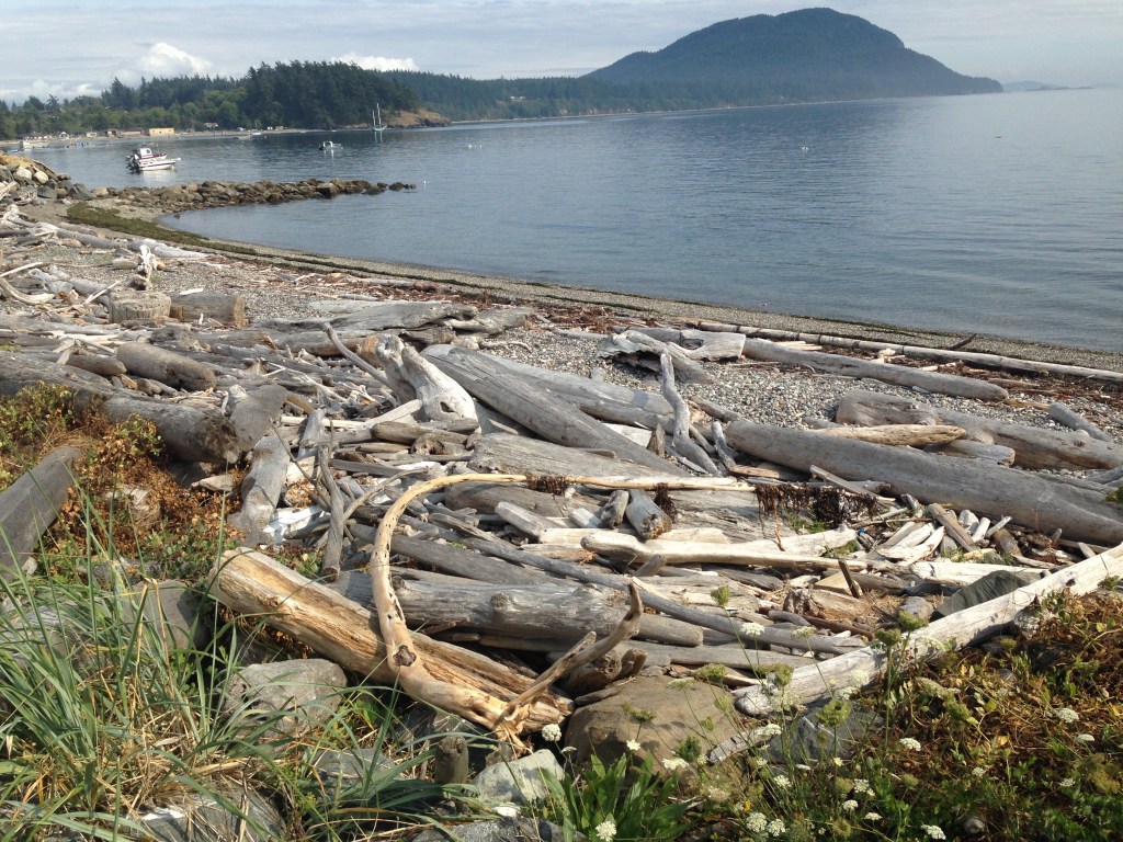 View from my cottage at The Willows Inn. Photo by Nicole Sprinkle