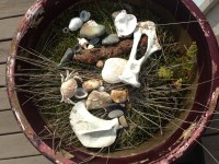  A chef in the wild. Photo by Charity BurggraafEverybody knows about The