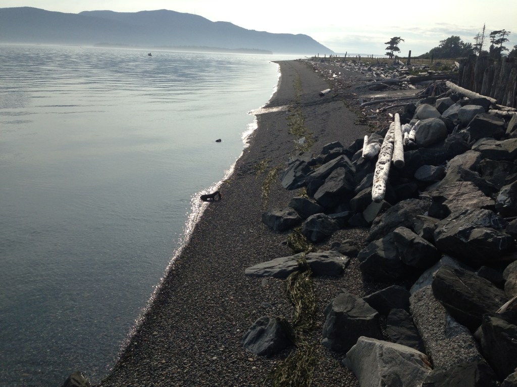 The shoreline on Lummi is quite a sight. Photo by Nicole Sprinkle