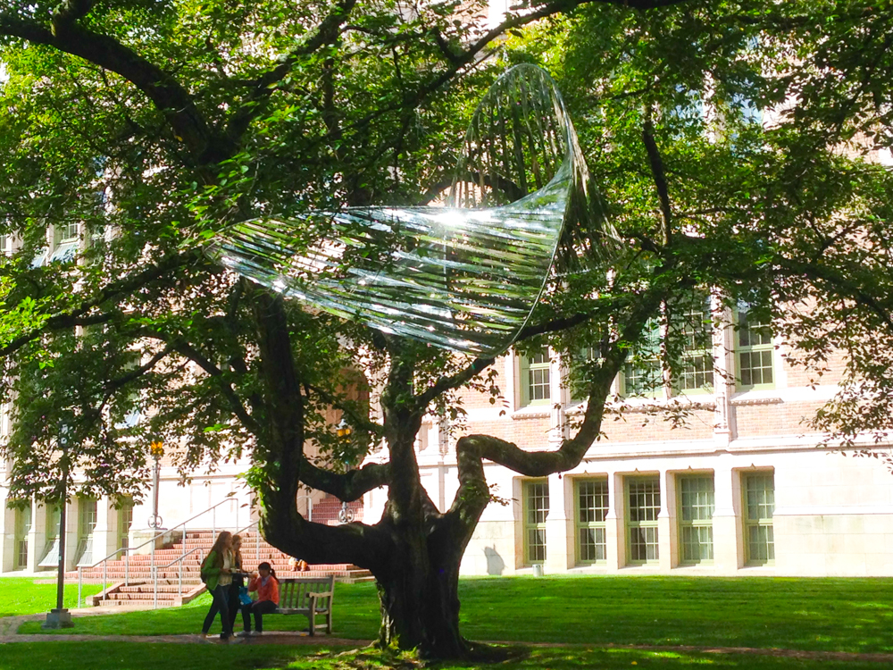 Mad Campus art installation: Untitled.  Art by Alyson Piskorowski