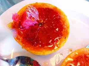 Photo by Nicole Sprinkle