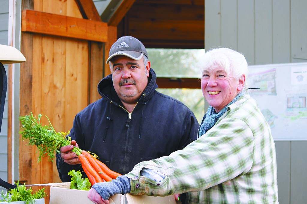 21 Acres farmers fill boxes for the Hub.