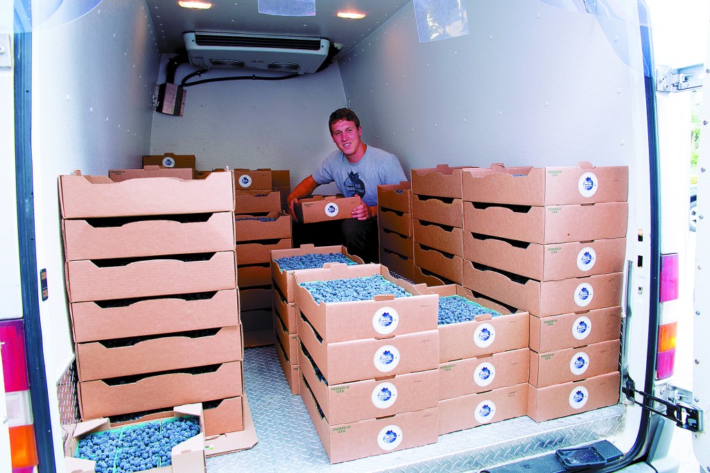 Bold words: Cutline here cutline here cutline here