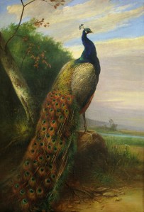 The winner! Scheuerer’s Peacock. At right, Pan’s High Autumn.