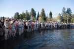 Hundreds of plungers line the waters edge as the countdown begins.