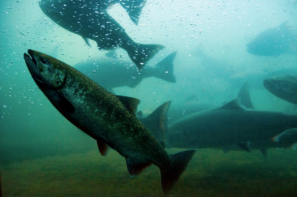 news&comment  5Text ColorSwatch/NoneStrokeStyle/$ID/SolidText ColorSwatch/NoneStrokeStyle/$ID/SolidText ColorText ColorText ColorText ColorVax attacks  by