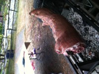 Kids say the darndest things. And, sometimes, they say these things to