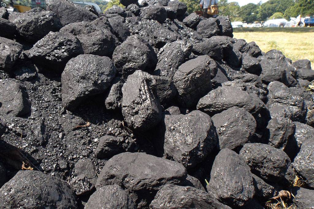 Exit Poll Indicates Washington Voters Still Support Climate Change Action