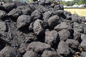 Exit Poll Indicates Washington Voters Still Support Climate Change Action