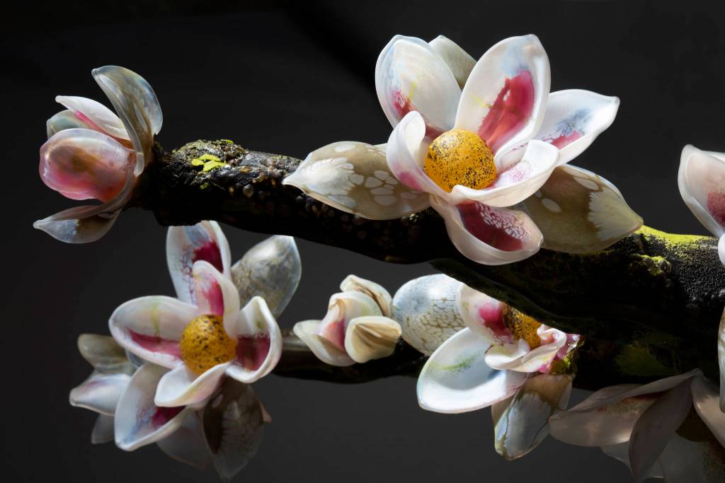 An up close look at some of the flowers from Arboria. Photo by Rozarii Lynch