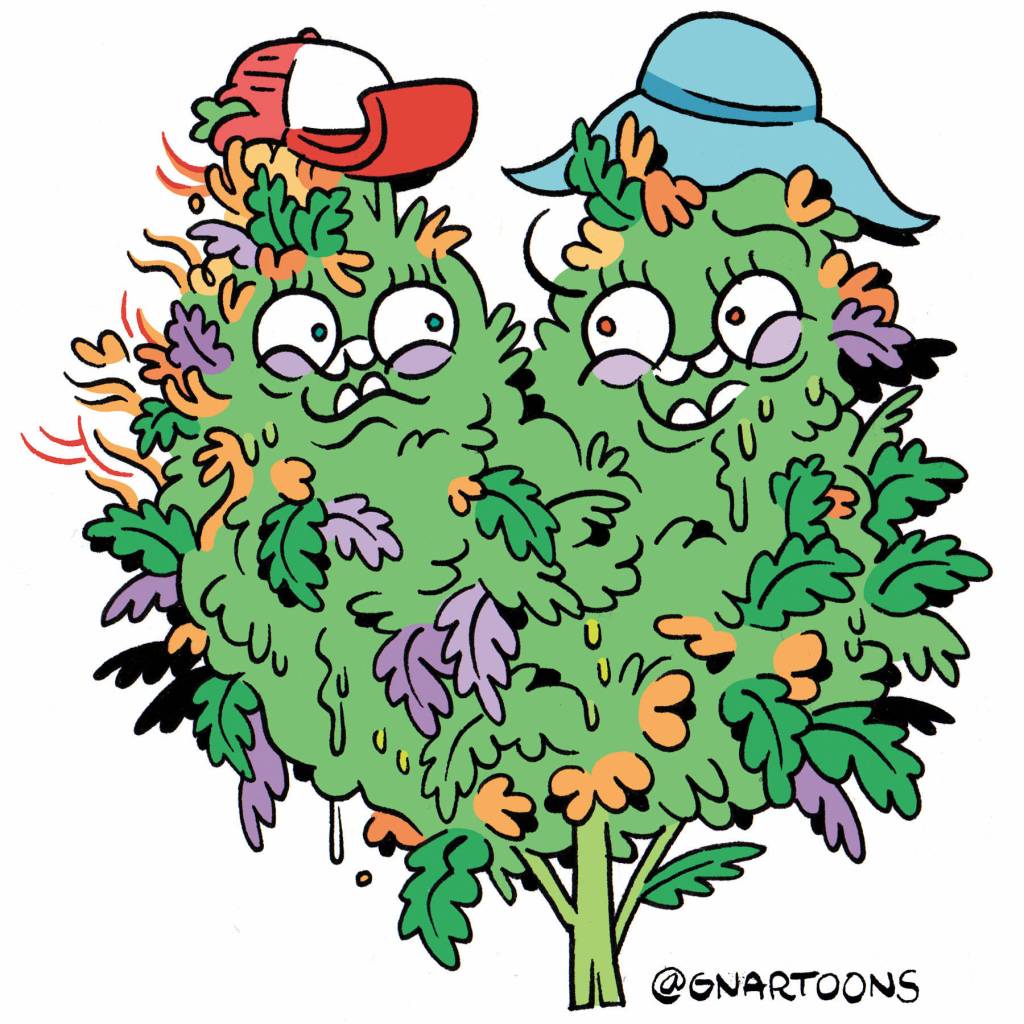 Illustration by James Stanton