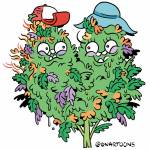 Illustration by James Stanton