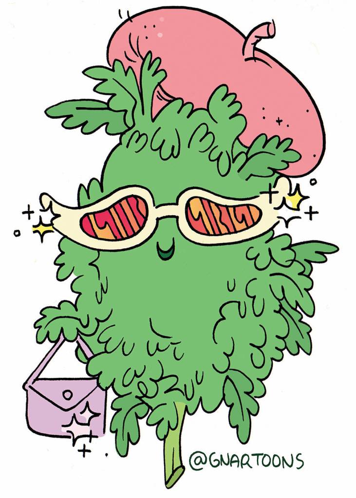 Stash Box: 2016-2019