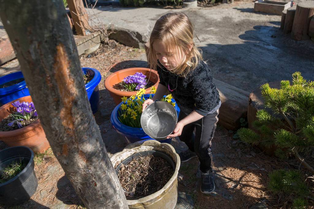 Four-year-old Emma Aasebo waters some of the plants outdoors at one of the Kiwassa Neighbourhood Houses child care centers. Ashley Hiruko/staff photo