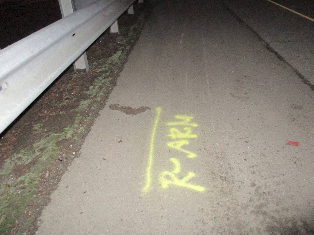 Motorcycle crash miracle: South King Fire to honor heroic family who saved man’s life