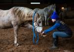 Aubrey Adler, right, stretches out Bree during a yoga for horses class Sunday, April 14 at Cedarbrook Veterinary Carein Snohomish. (Olivia Vanni / The Herald)