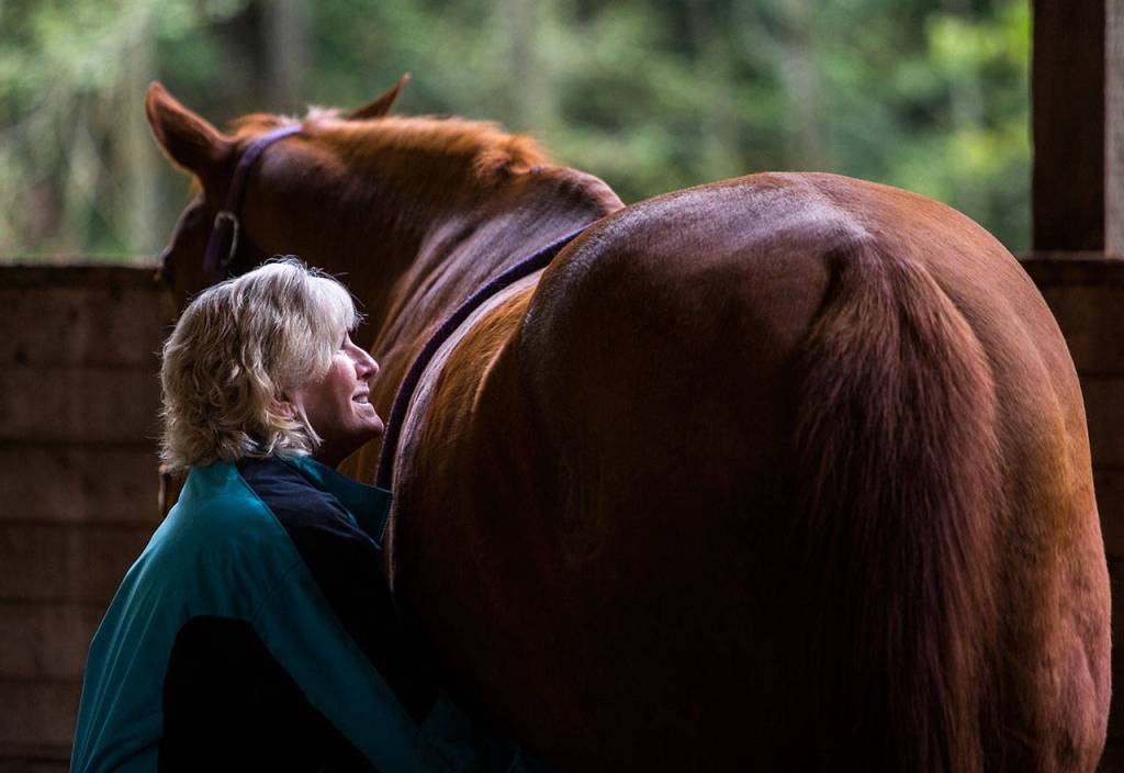 Sue Eulau smiles as she watches her horse Tres back muscles react to pressure point stimulation during yoga for horses on Sunday, April 14 at Cedarbrook Veterinary Care in Snohomish. (Olivia Vanni / The Herald)