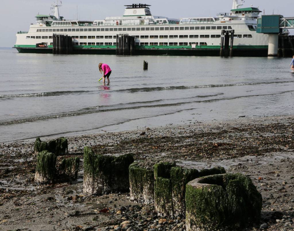 The remnants of pilings at Olympic Beach on Sunday in Edmonds. (Kevin Clark / The Herald)