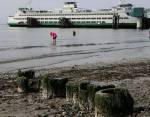 The remnants of pilings at Olympic Beach on Sunday in Edmonds. (Kevin Clark / The Herald)