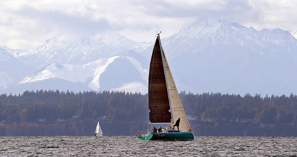 A sailboat heads out into Puget Sound in February of this year, in Seattle. State and federal officials may soon be wading back into the morass of regulating the amount of chemical pollutants which can bedischarged from businesses and municipal sewage treatment plants into the Puget Sound. (AP Photo/Elaine Thompson, file)