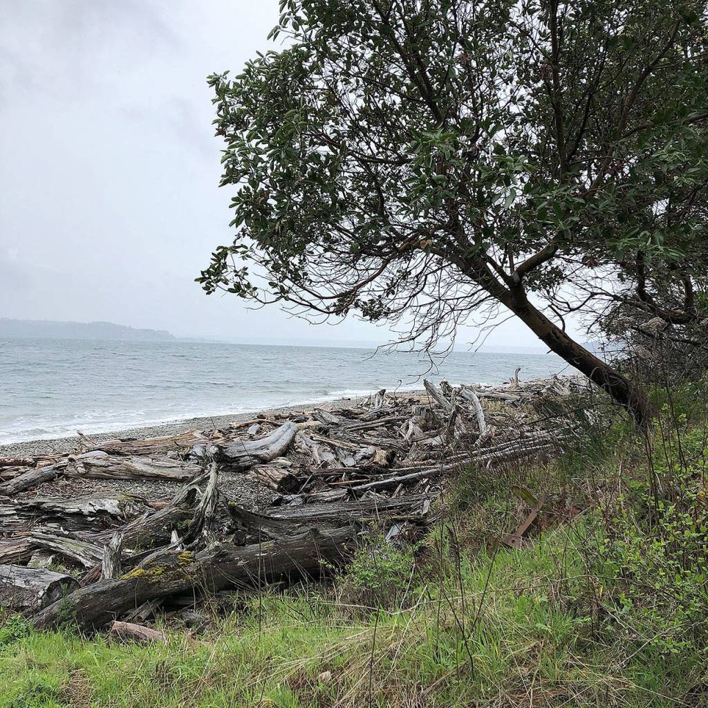 A beach at Maury Island Marine Park. The park offers 300 acres of trails for hiking and mountain biking. (Aaron Swaney)