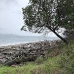A beach at Maury Island Marine Park. The park offers 300 acres of trails for hiking and mountain biking. (Aaron Swaney)