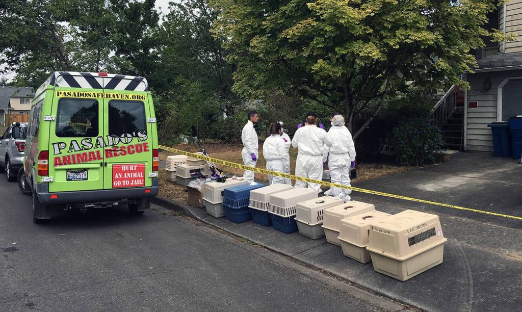 Monroe Police said the conditions were deplorable at a Monroe residence where 37 cats were found. (Monroe Police Department)