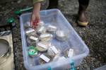 Heide Island readies samples to send into the lab. (Julia-Grace Sanders / The Herald)
