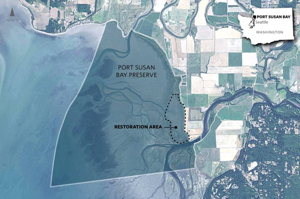 This map shows The Nature Conservancys 150-acre project site at Port Susan Bay. (The Nature Conservancy)