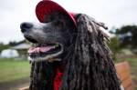 Rielley wears a custom hat and bandana at Freeland Park. (Olivia Vanni / The Herald)