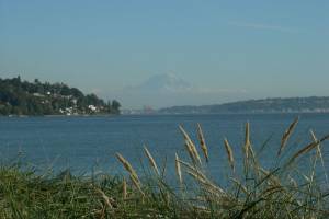 West Point Treatment Plant report due in January