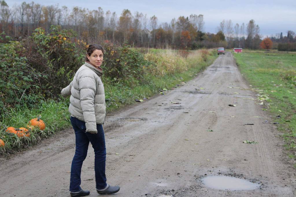 Local Roots owner Siri Erickson-Brown walks along her driveway on Oct. 25. On Oct. 22, the Snoqualmie River flooded her property. She can be seen here pointing at some pumpkins that her staff picked out of the river, presumably from another farm farther upstream. Aaron Kunkler/staff photo