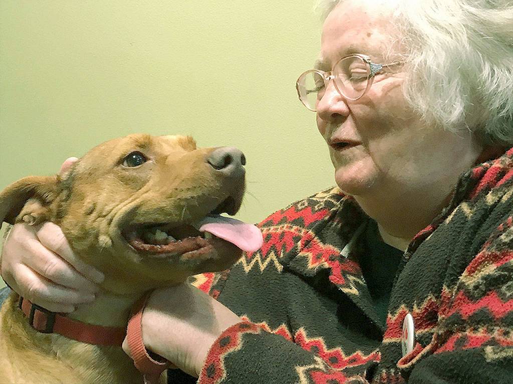 Sharon Wheat and her dog Sami reunited at the Federal Way Police Department after she was stolen outside of a Safeway. Mark Klaas/staff photo