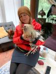 Jenny Rae, Rooster Haus Rescue founder, with Reggie the rooster. Natalie DeFord/staff photo
