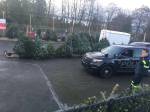 Federal Way police recovered some of the 78 stolen Christmas trees after arresting the suspected thief on Friday. Photo courtesy of FWPD