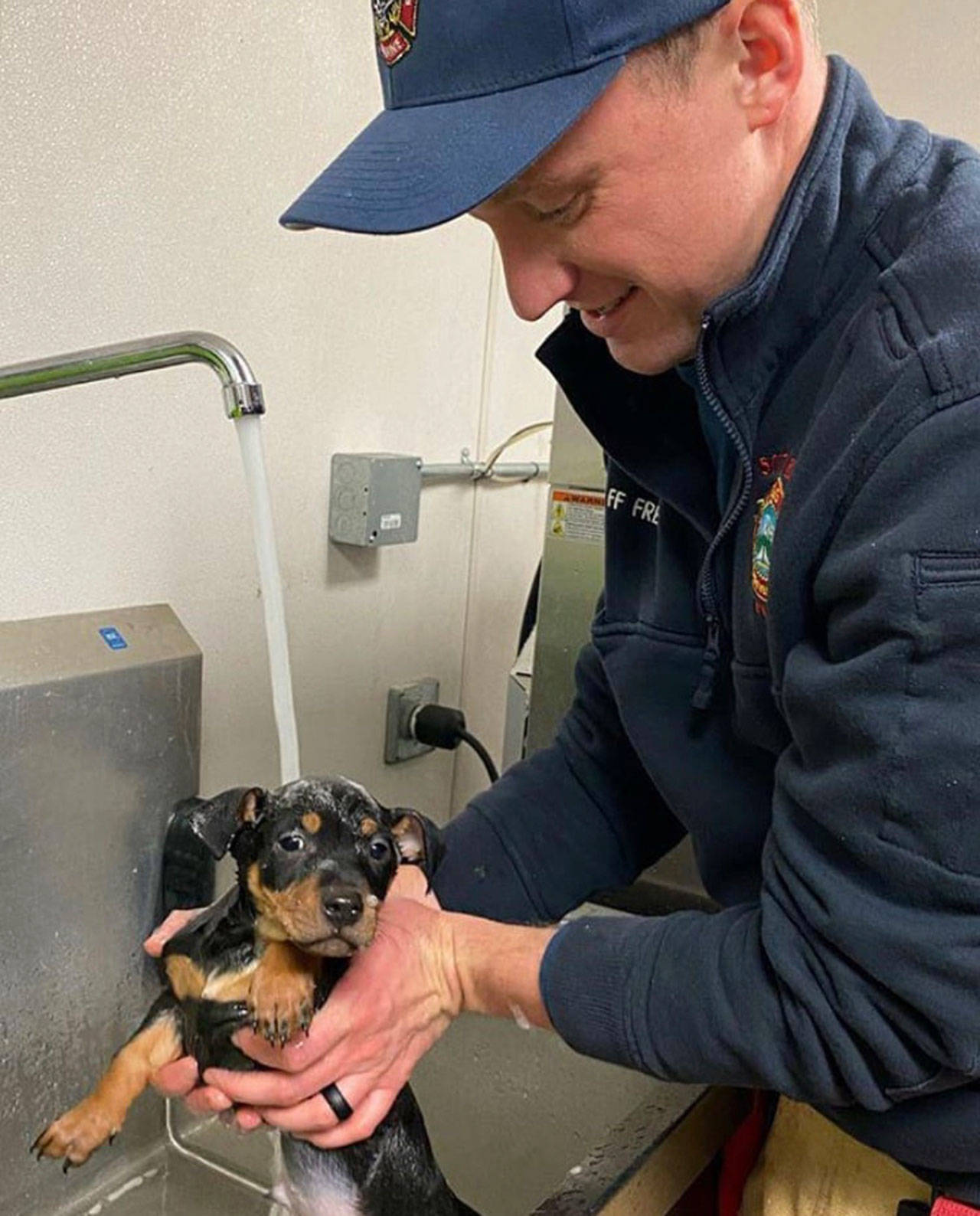 SKFR firefighter Cory Freeborn bathes an eight-week-old rescue puppy on Jan. 8. Photo courtesy of Resilient Hearts                                SKFR firefighter Cory Freeborn bathes an eight-week-old rescue puppy on Jan. 8. Photo courtesy of Resilient Hearts
