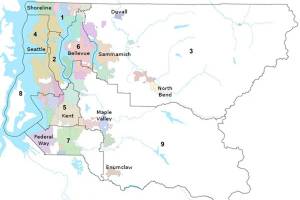 King County Council has nine members who each represent a district. Courtesy of kingcounty.gov