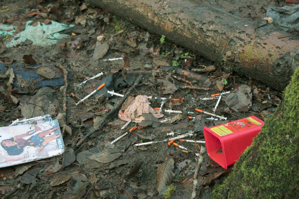 Needles littered the ground throughout a homeless encampment at Federal Ways Hylebos Wetlands, which is public property. Sound Publishing file photo