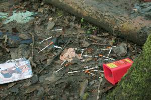 Needles littered the ground throughout a homeless encampment at Federal Ways Hylebos Wetlands, which is public property. Sound Publishing file photo