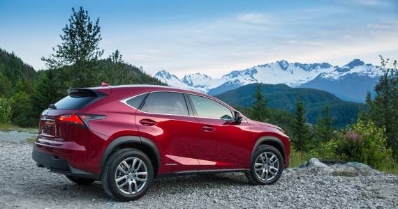 2021 Lexus NX 300h