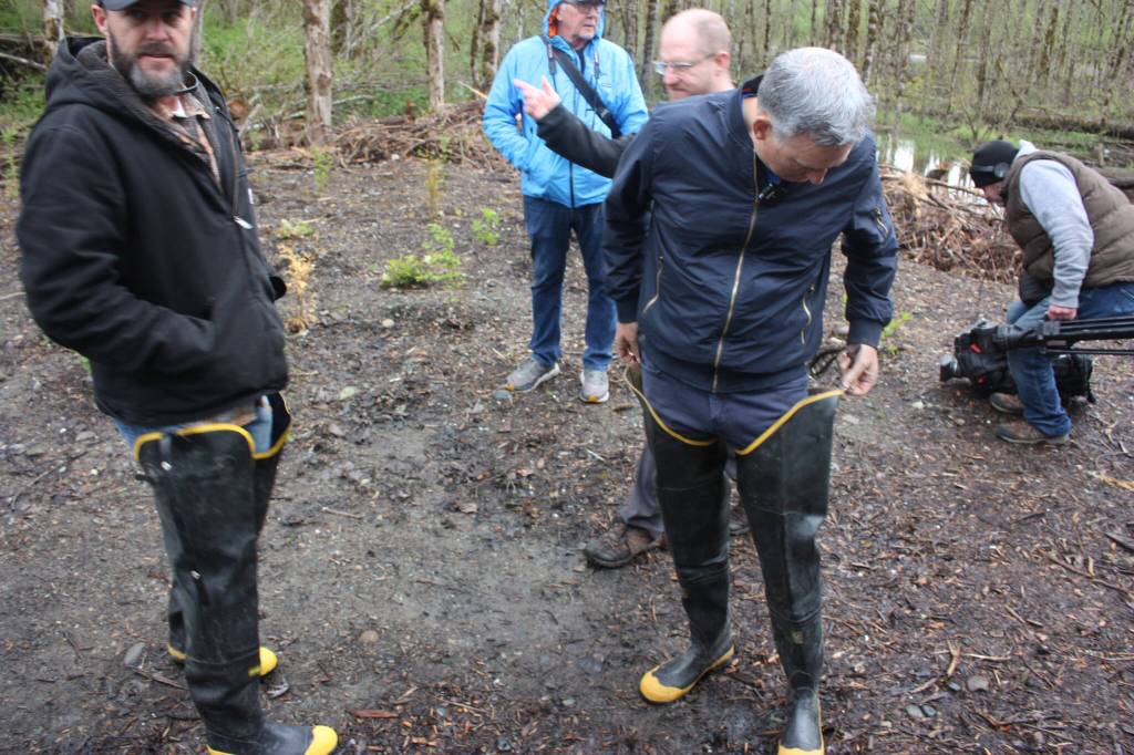 Executive Dow Constantine puts on his executive hip waders for a tour of the river restoration site (Cameron Sheppard/Sound Publishing)