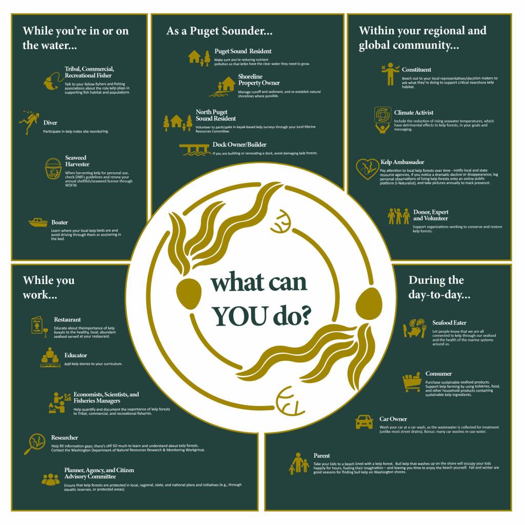 What you can do to assist kelp, depending on the situation you find yourself in. Courtesy of PSRF.