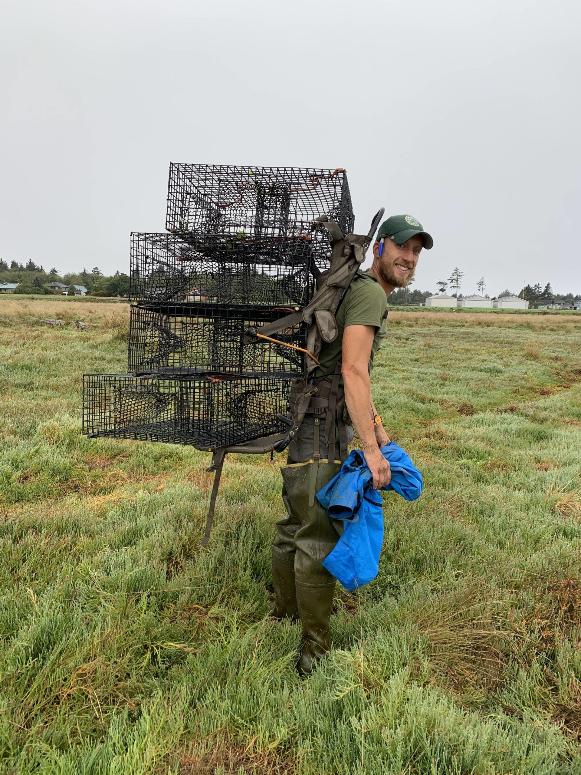 Ron Coleman from WDFW deploys Green Crab traps on the Washington Coast. Photo courtesy of Chase Gunnell.