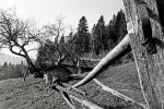 One of the photos in the exhibit show a Ukrainian man's homestead, which Davidson said was so remote that she had to ride on a 4x4 off-road vehicle to get to it. Photo courtesy of Anna Mia Davidson.