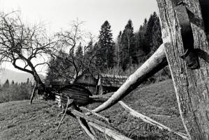 One of the photos in the exhibit show a Ukrainian man's homestead, which Davidson said was so remote that she had to ride on a 4x4 off-road vehicle to get to it. Photo courtesy of Anna Mia Davidson.