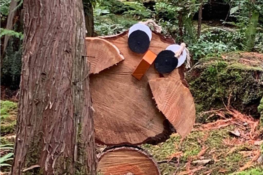 Woodland owls lead visitors on a Hoot Hunt, an all-ages scavenger hunt through the Bloedel Reserve gardens Oct. 1 to 30.