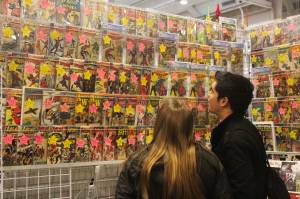 Comic book collection is still a staple of Emerald City Comic Con. Photo by Bailey Jo Josie/Sound Publishing.