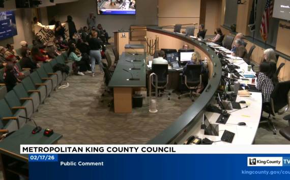 Scene from the Feb. 17 meeting of the King County Council. Screenshot