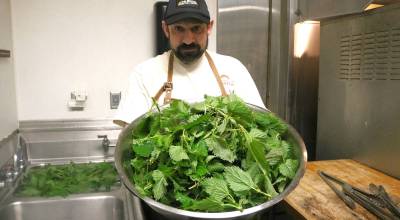 Photos by Bailey Jo Josie/Sound Publishing
Chef Jason Vickers likes to incorporate local plants like nettles into his menu. This batch of nettles were foraged that very afternoon around West Seattle.