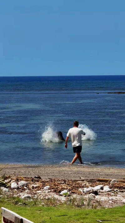 A rock lands near the seal. COURTESY PHOTO, U.S. Attorneys Office, District of Hawaii